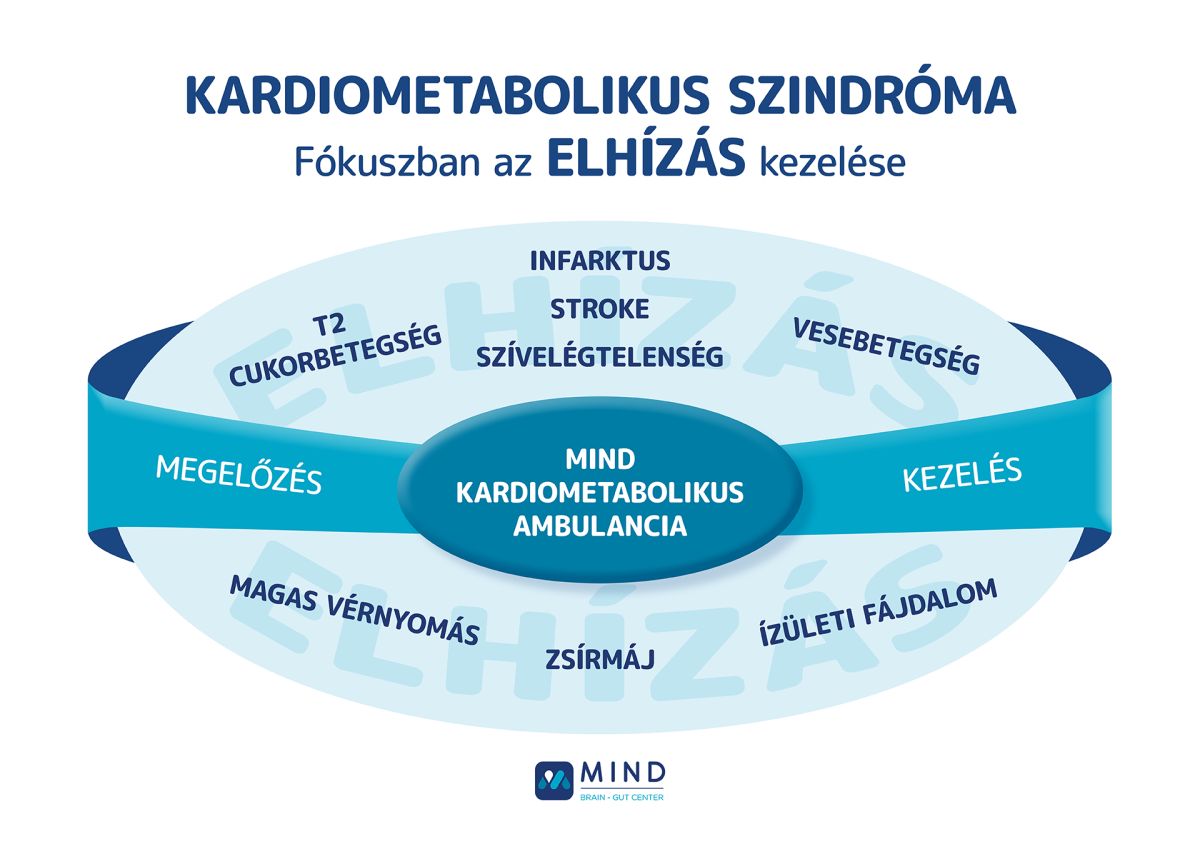 Mind Folyamatabra Kardiometabolikus Ambulancia Ii
