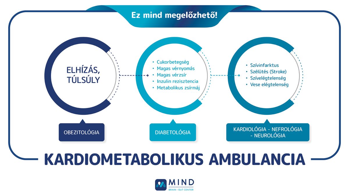 Mind Folyamatabra Kardiometabolikus Ambulancia V1 1
