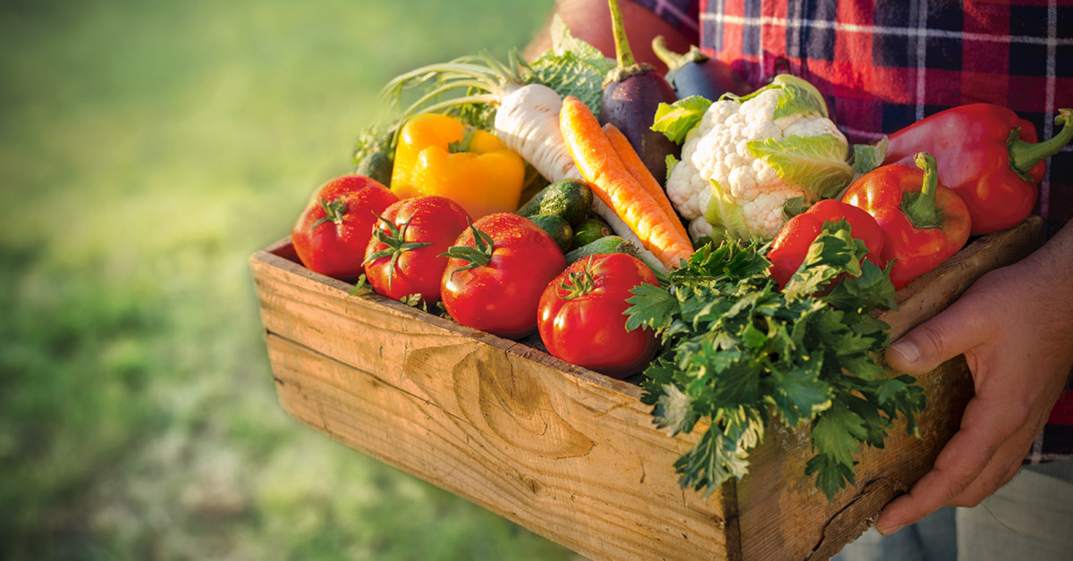 Vegeteables Poszt 628